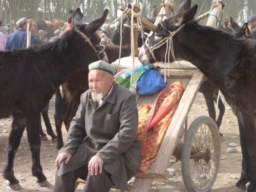 2010-04 China Kashgar animal market 073 (96)
