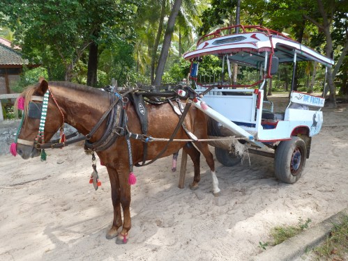 The only transport on Gili Meno