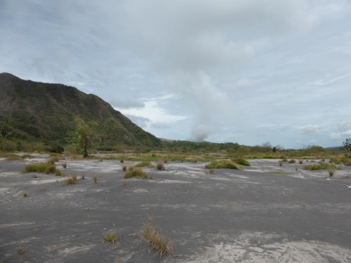 A suburb of Rabaul, Malaytown, once stood in this ash desert.
