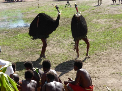 Then there was the cassowary/emu dance