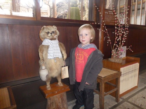 At the Kusakabe Heritage House, our little one met up with a racoon.