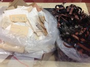 Shredded files and microfiche found in Stasi HQ