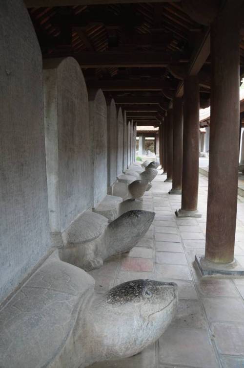 The turtles corridor