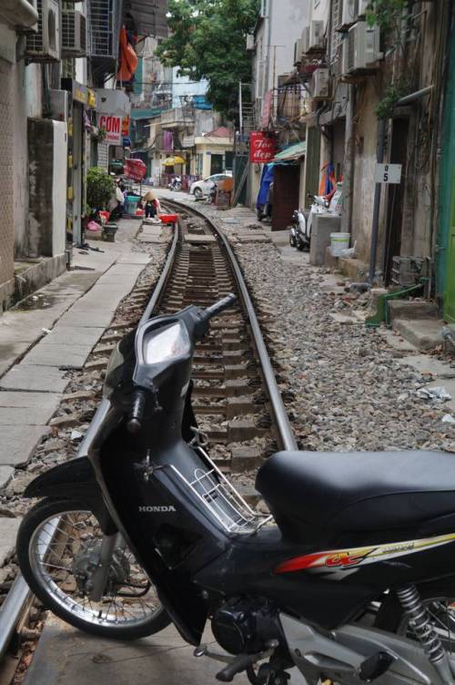 Houses alone the disused tram track