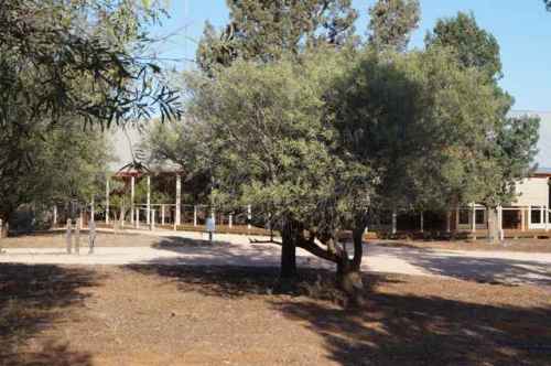 Mungo Lodge, the soft comfortable option