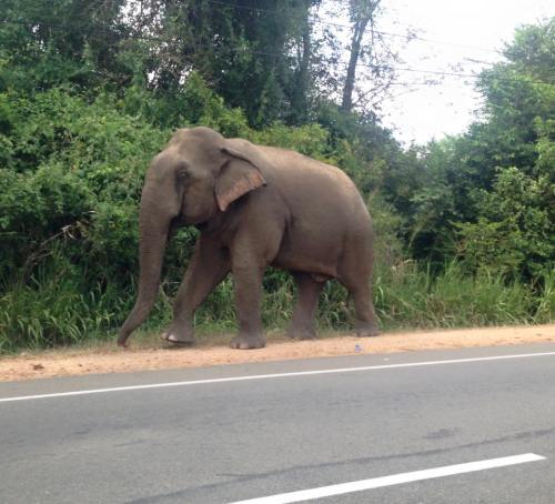 12193601_10154666136932598_5205676156631887133_n